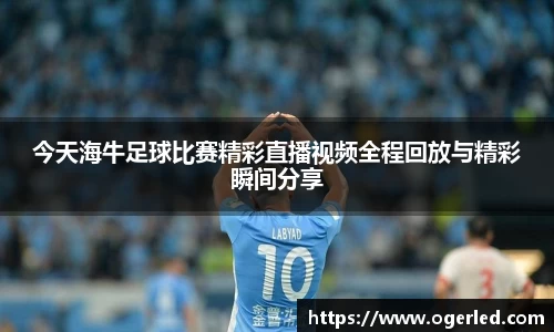 lewin乐玩手机最新版本